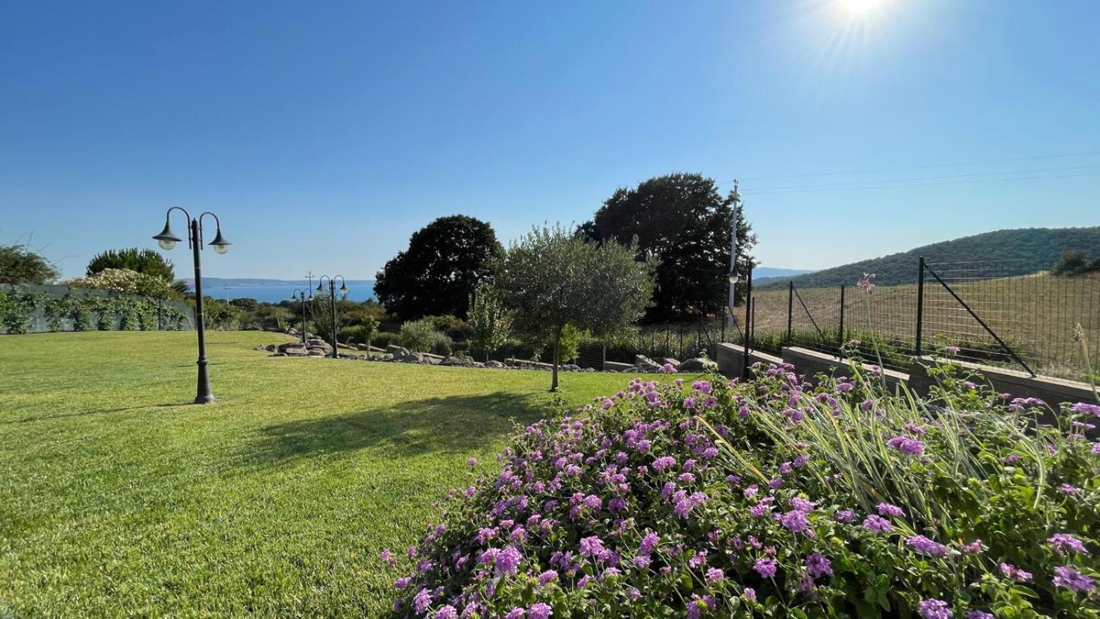 Villa "Lago Blu" Vista Lago Di Bracciano, Con Vasca Idromassaggio Esterna Trevignano Romano Exterior photo